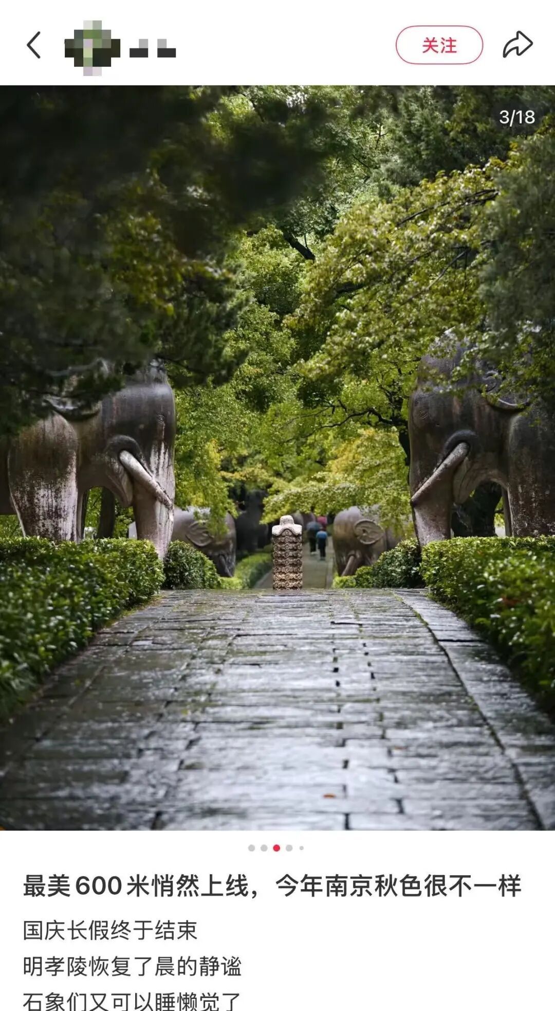 南京这里，已进入观赏期！