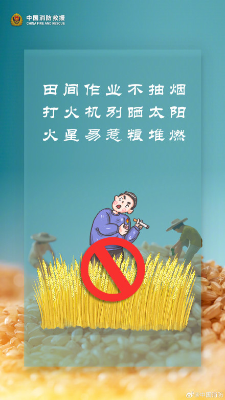 世界粮食日｜让消防安全为每粒粮食护航