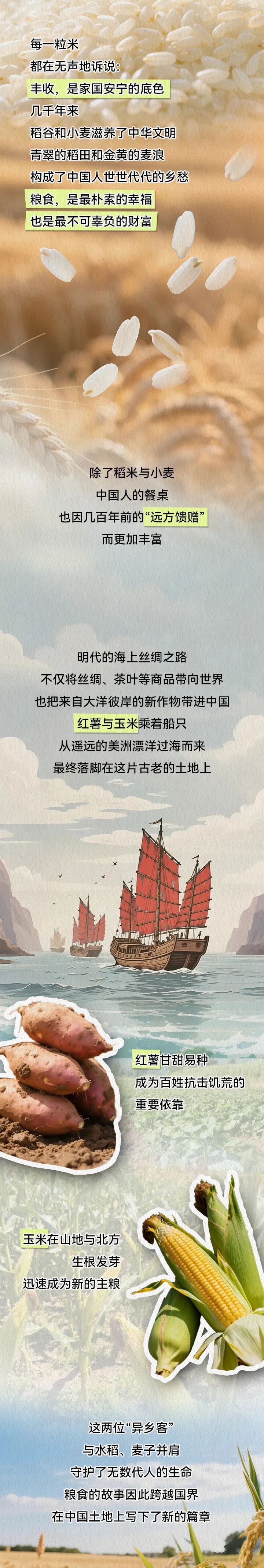 世界粮食日：每当吃饱了，我们就想起他