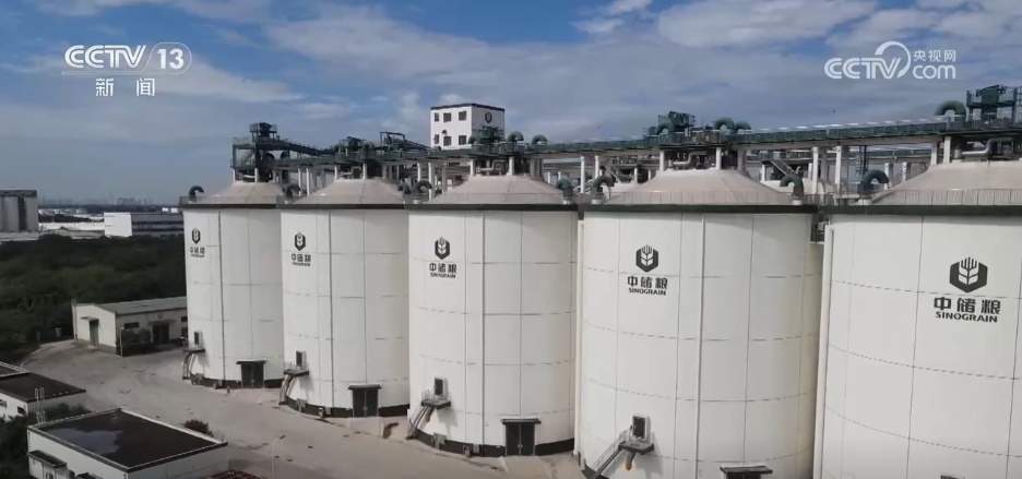 “白胖子”储粮、“AI全自动”入库 大国粮仓科技范儿十足