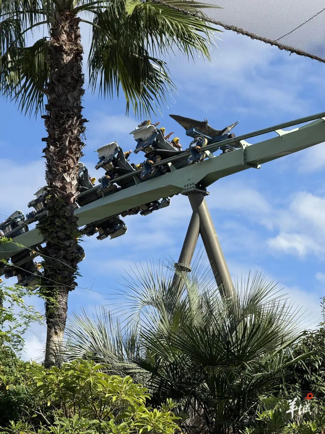 男子坐过山车“甩出”肾结石？医生：小概率事件，不要仿效