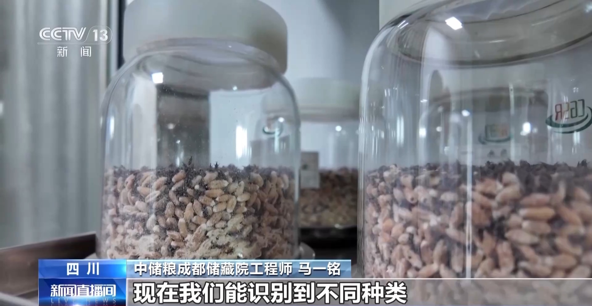 粮食入库进入“AI全自动时代” 探秘大国粮仓科技底色