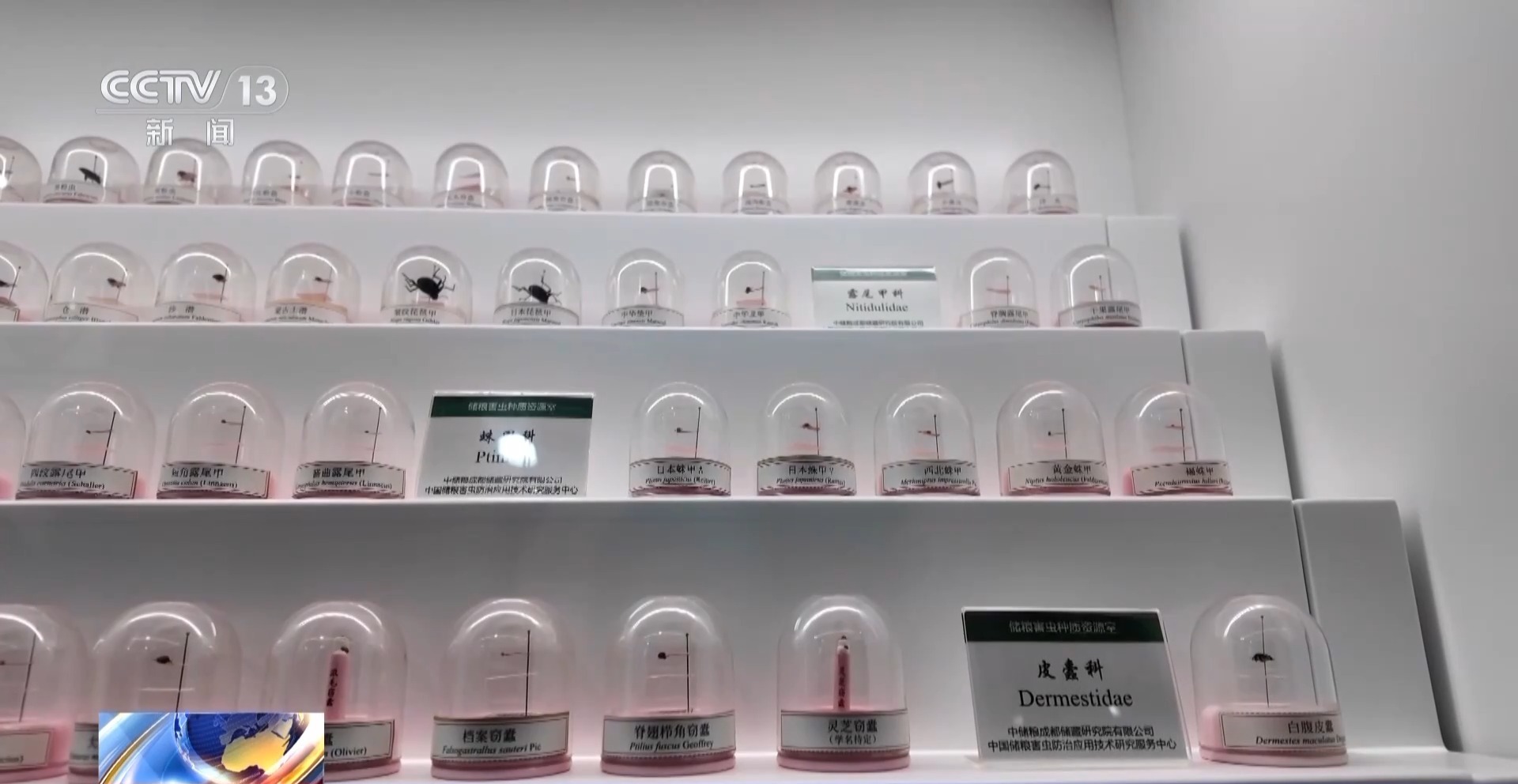 粮食入库进入“AI全自动时代” 探秘大国粮仓科技底色