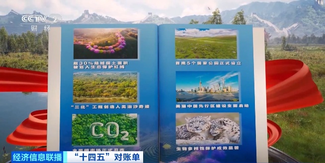 增绿最多、最快!我国贡献全球大约25%新增绿化面积 增绿最多、最快!我国贡献全球大约25%新增绿化面积