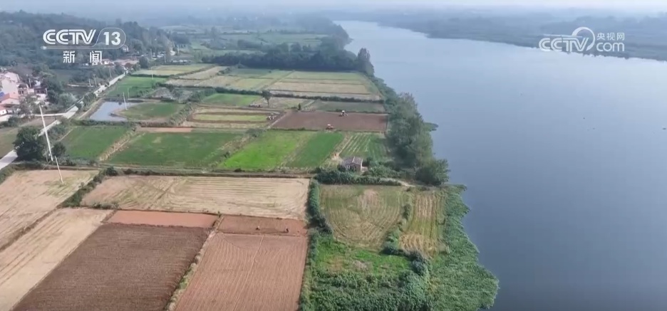 沉陷区变“良田”、秋播“有备而种” 广袤田野绘就生机勃勃“丰”景图