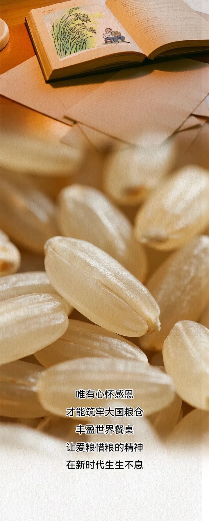 世界粮食日：每当吃饱了，我们就想起他