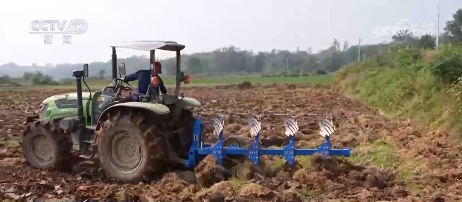 沉陷区变“良田”、秋播“有备而种” 广袤田野绘就生机勃勃“丰”景图