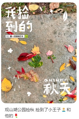 听说最近贵州人都在捡它？进入黄金期！不少人朋友圈狂晒战绩