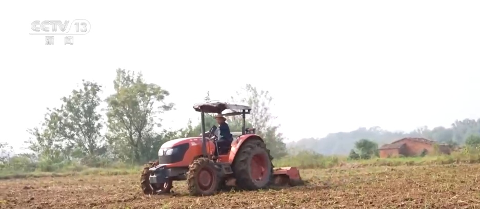 沉陷区变“良田”、秋播“有备而种” 广袤田野绘就生机勃勃“丰”景图