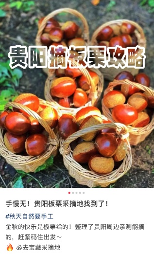 听说最近贵州人都在捡它？进入黄金期！不少人朋友圈狂晒战绩