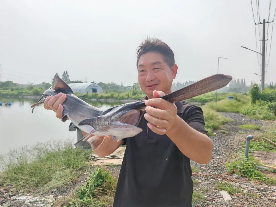 武进惊现“怪鱼”，与恐龙同时代