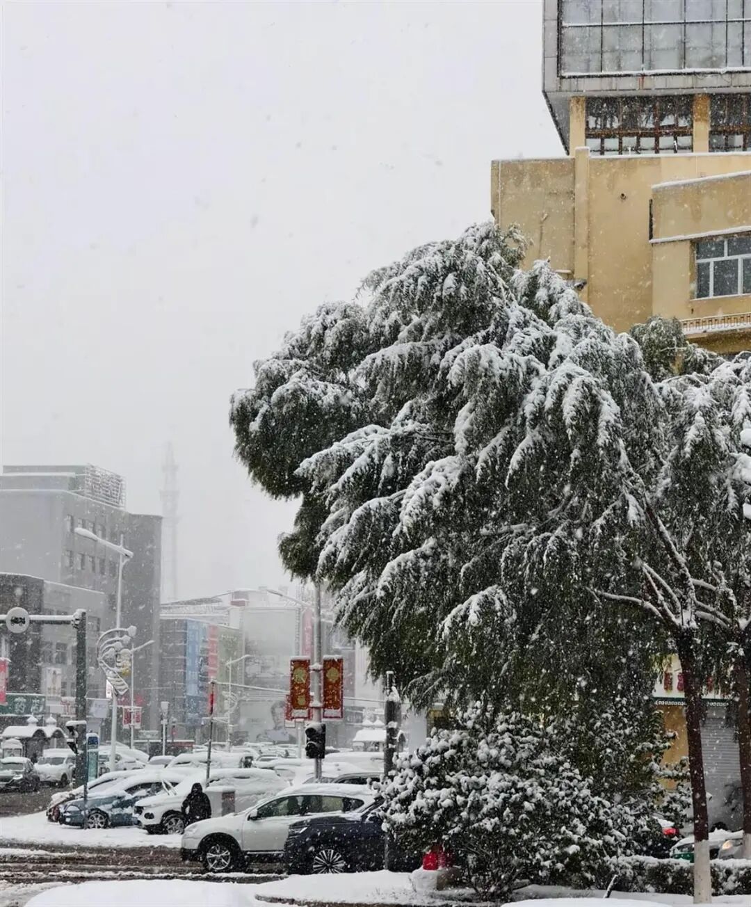 冷空气来真的？广东最低跌至12℃！台风也有新消息→