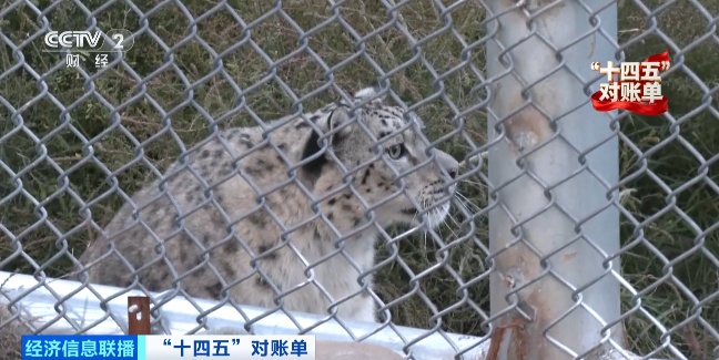 增绿最多、最快!我国贡献全球大约25%新增绿化面积 增绿最多、最快!我国贡献全球大约25%新增绿化面积