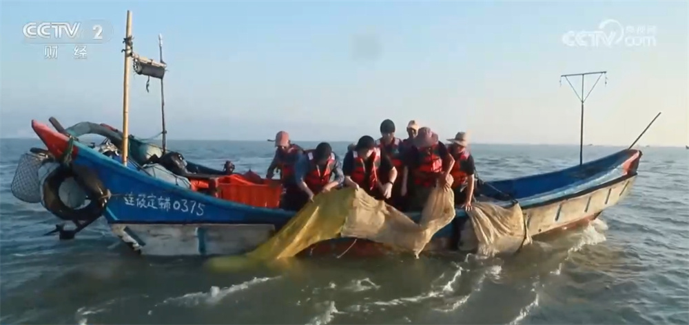 藜麦飘香、水稻金黄、鱼蟹满仓 科技赋能奏响金秋十月“丰收乐章”