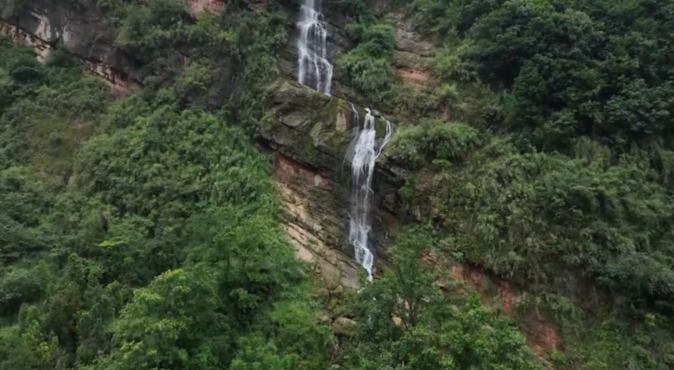 雅安芦山：野生大熊猫“蹭树”被红外相机“捉”住