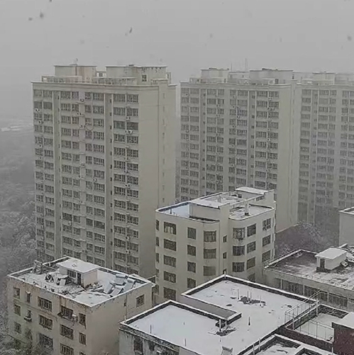 这就下雪了？南方还有穿短袖的！接下来冷空气带来换季式降温，暴雨大暴雨也将来袭