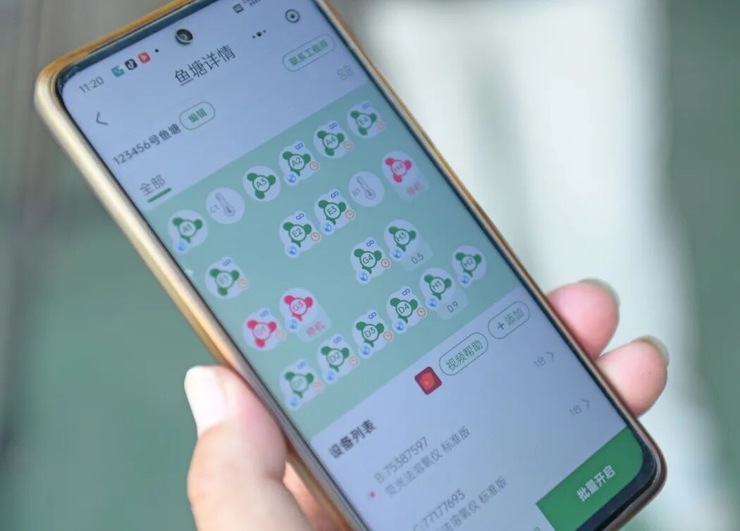 武进惊现“怪鱼”，与恐龙同时代
