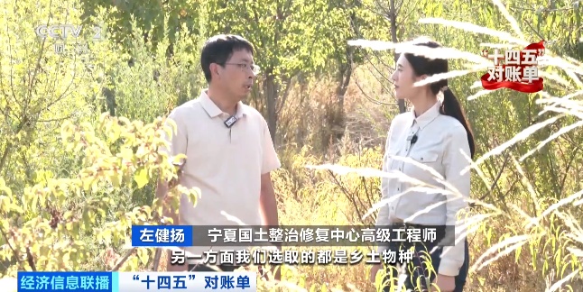 增绿最多、最快!我国贡献全球大约25%新增绿化面积 增绿最多、最快!我国贡献全球大约25%新增绿化面积