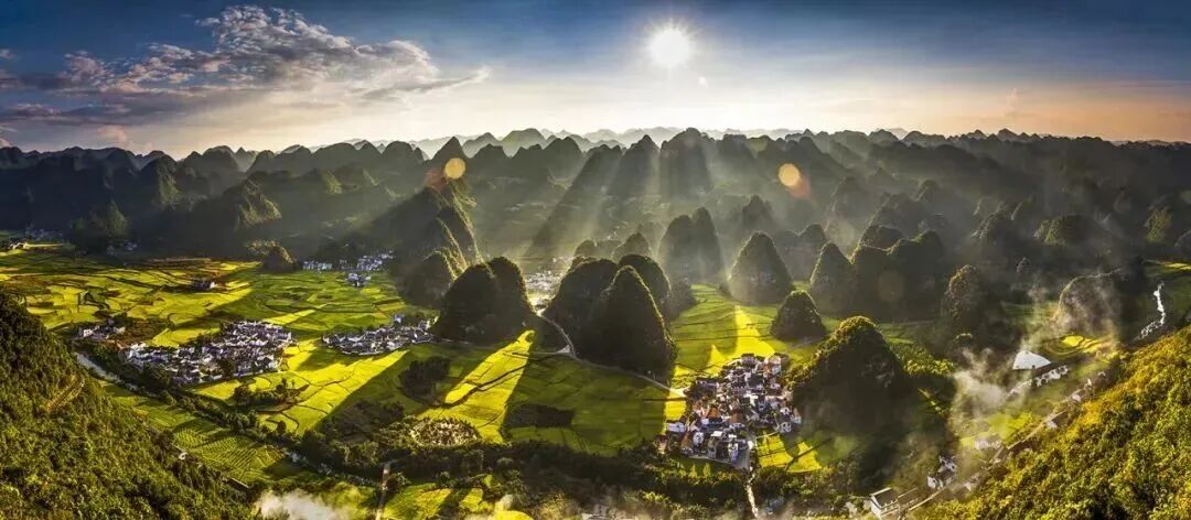 听说最近贵州人都在捡它？进入黄金期！不少人朋友圈狂晒战绩