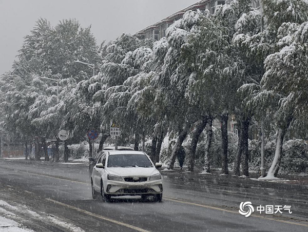 这就下雪了？南方还有穿短袖的！接下来冷空气带来换季式降温，暴雨大暴雨也将来袭