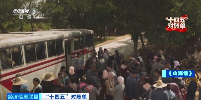 增绿最多、最快!我国贡献全球大约25%新增绿化面积 增绿最多、最快!我国贡献全球大约25%新增绿化面积