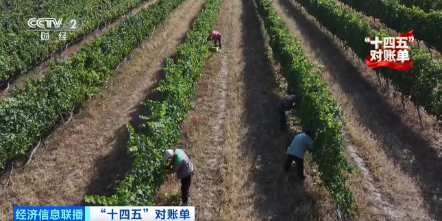 增绿最多、最快!我国贡献全球大约25%新增绿化面积 增绿最多、最快!我国贡献全球大约25%新增绿化面积