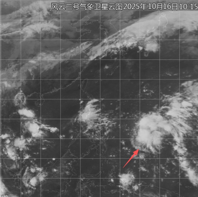 冷空气来真的？广东最低跌至12℃！台风也有新消息→