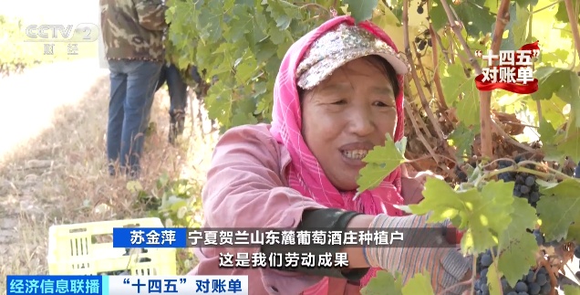 增绿最多、最快!我国贡献全球大约25%新增绿化面积 增绿最多、最快!我国贡献全球大约25%新增绿化面积