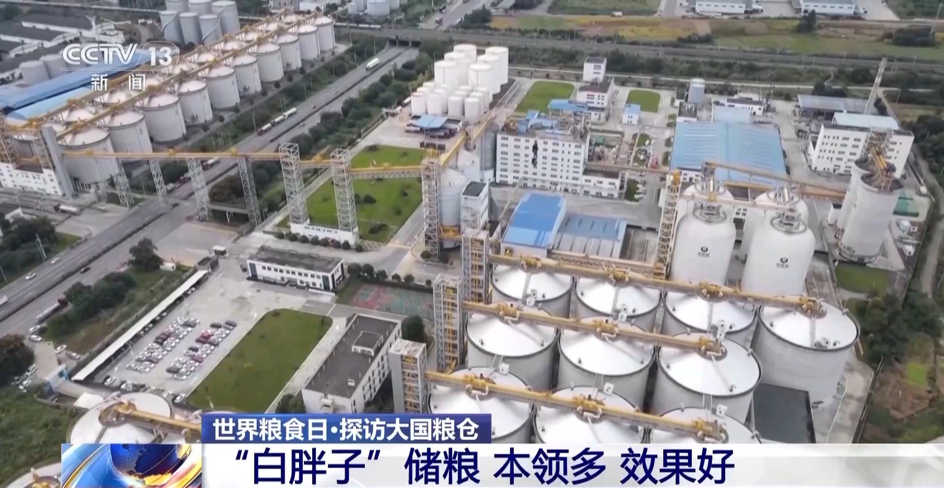 粮食入库进入“AI全自动时代” 探秘大国粮仓科技底色