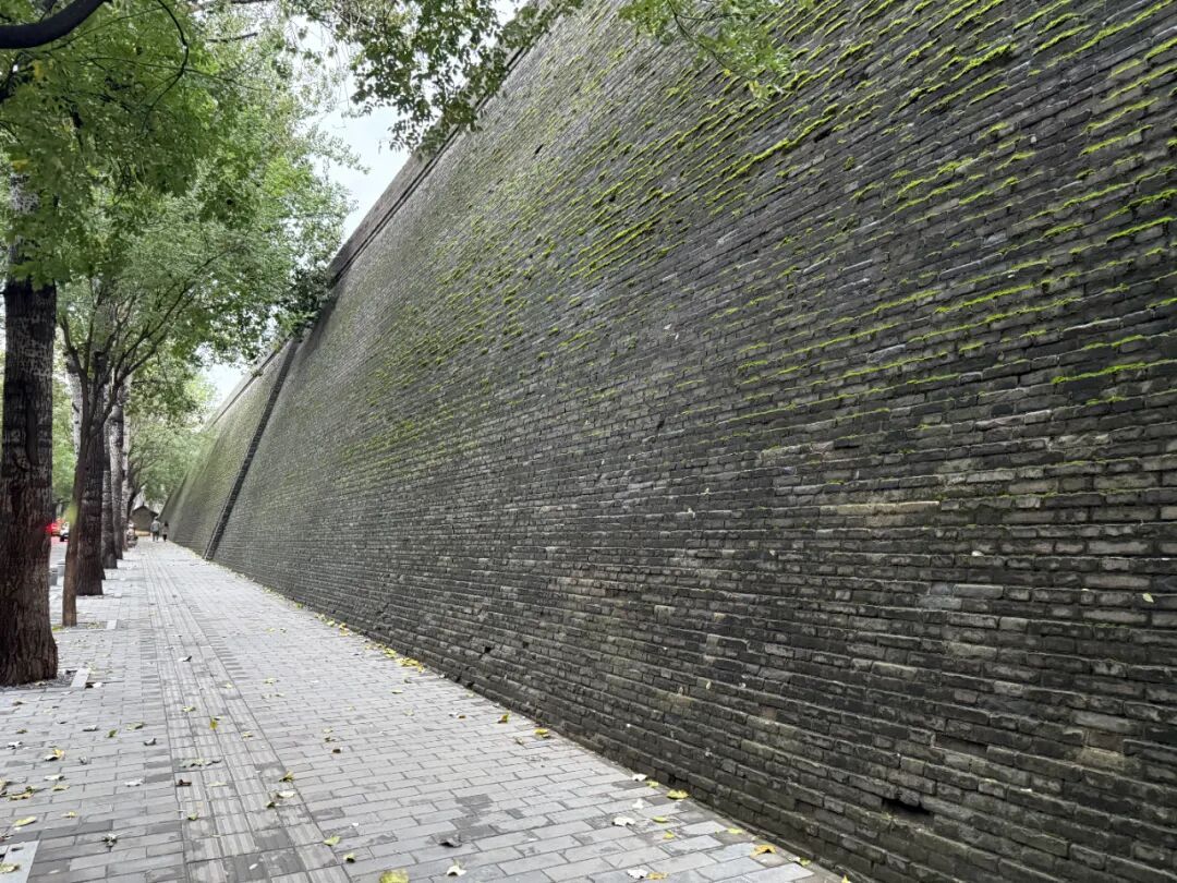 西安城墙解锁“限定皮肤”?专家解读 西安城墙解锁“限定皮肤”?专家解读