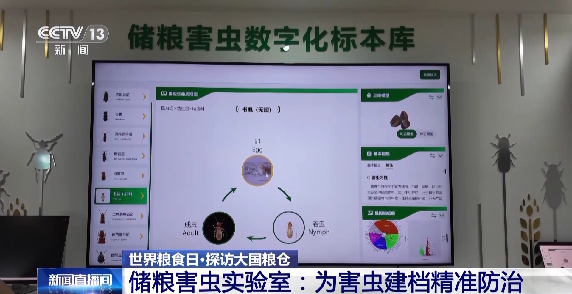 粮食入库进入“AI全自动时代” 探秘大国粮仓科技底色