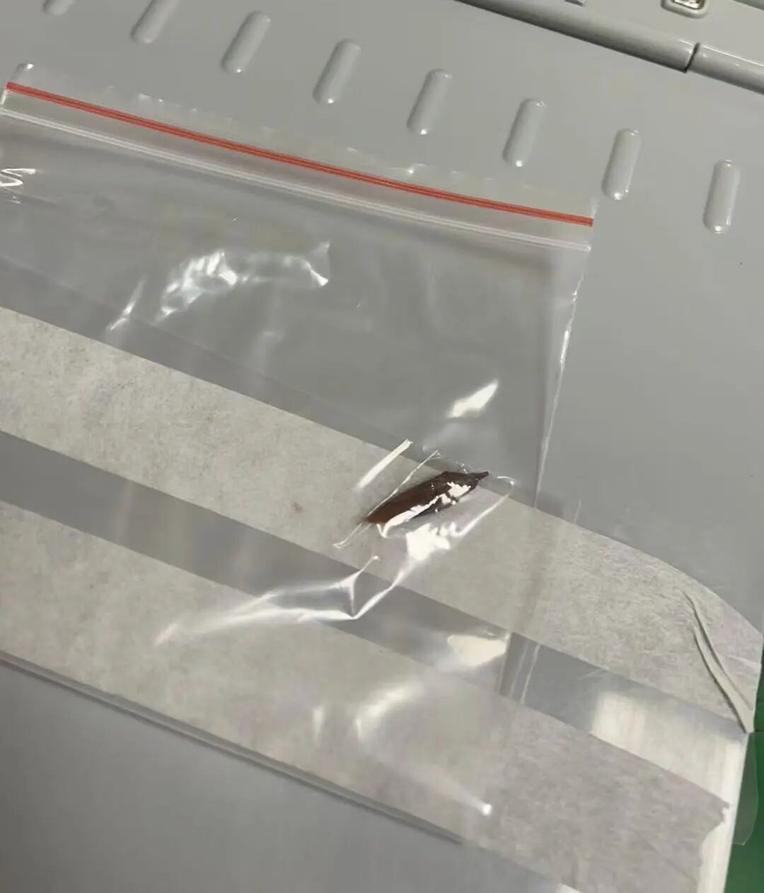 医生倒吸凉气！一颗下肚，女子竟进了ICU！已穿透食道并化脓…