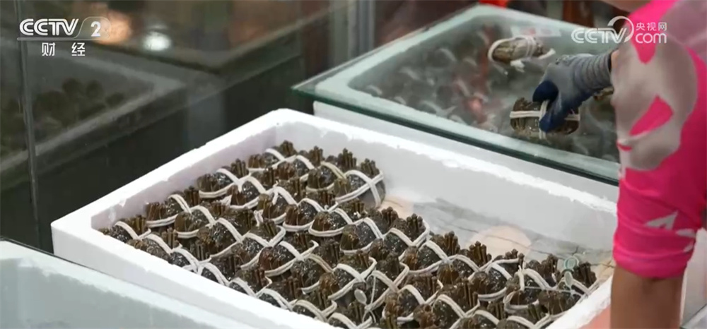 藜麦飘香、水稻金黄、鱼蟹满仓 科技赋能奏响金秋十月“丰收乐章”