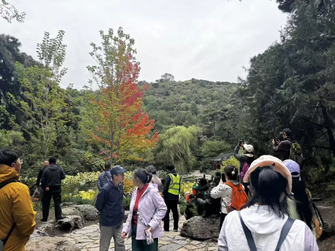 赏红顶流又红了!香山公园赏秋全攻略→ 赏红顶流又红了!香山公园赏秋全攻略→