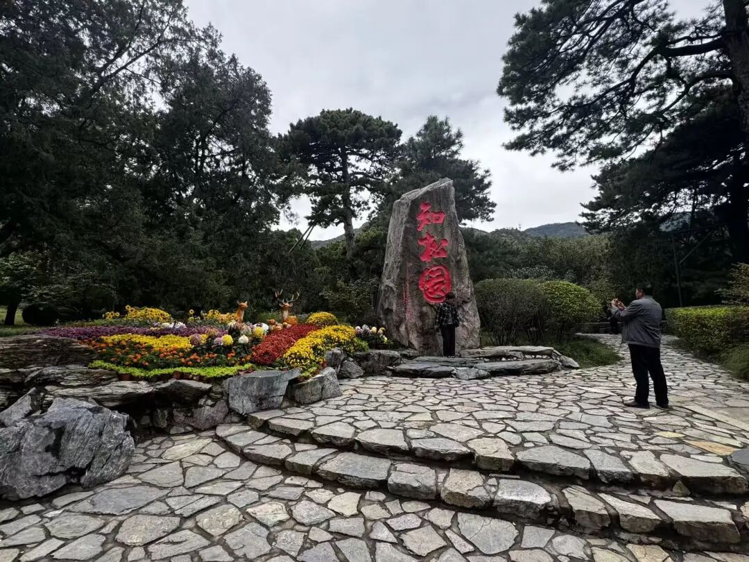 赏红顶流又红了!香山公园赏秋全攻略→ 赏红顶流又红了!香山公园赏秋全攻略→