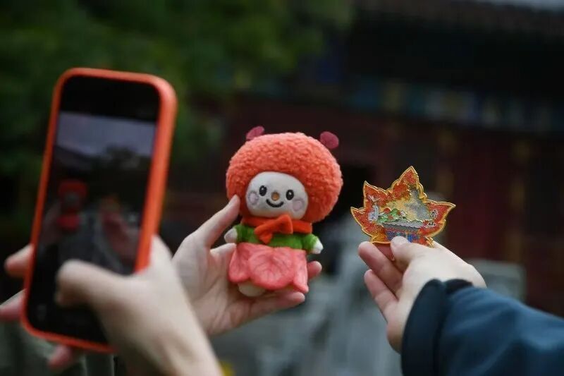 快去香山看红叶！18处观赏点+3条路线，这6天可能是高峰时段