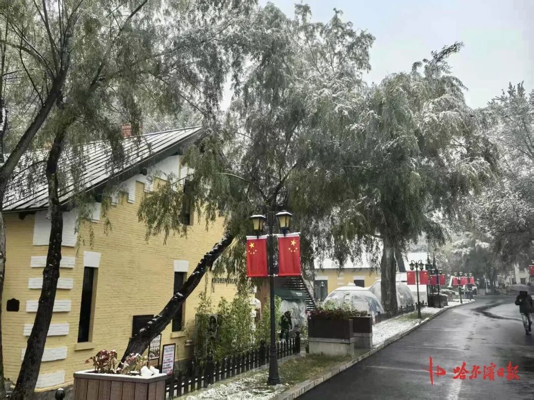 初雪邂逅百年老建筑， “黄房子”美成童话