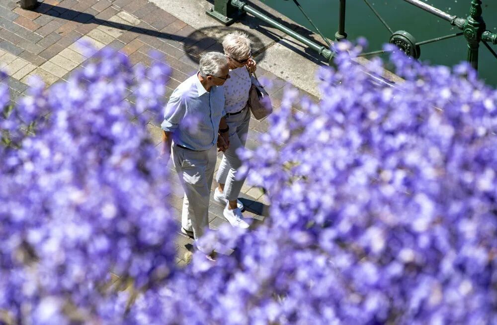 别说自己老了,大脑功能或60岁时达巅峰 别说自己老了,大脑功能或60岁时达巅峰