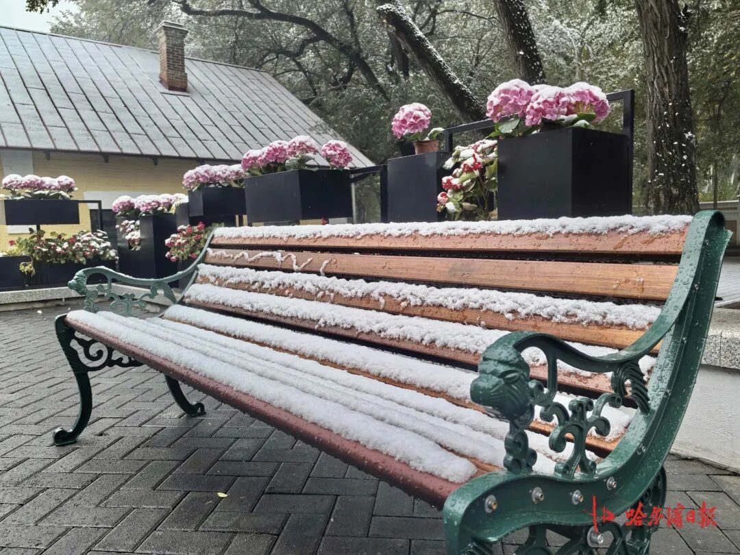 初雪邂逅百年老建筑， “黄房子”美成童话