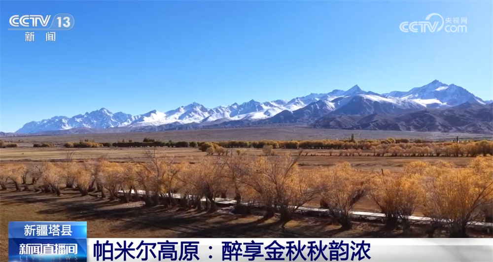 五彩斑斓意，层林尽染秋！锦绣山河美 赏秋正当时