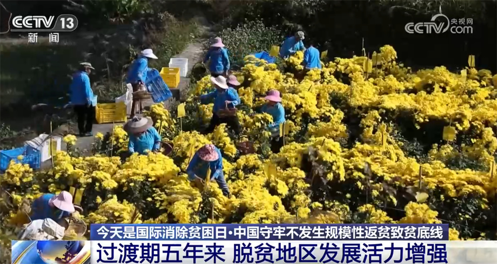 一组组数据映照“稳稳的幸福” 中国守牢不发生规模性返贫致贫底线
