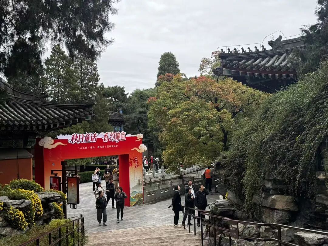 赏红顶流又红了!香山公园赏秋全攻略→ 赏红顶流又红了!香山公园赏秋全攻略→