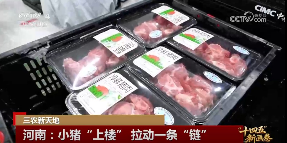 小猪“上楼”、刺梨闯“黔程” 现代化产业链推动乡村产业价值跃升 小猪“上楼”、刺梨闯“黔程” 现代化产业链推动乡村产业价值跃升