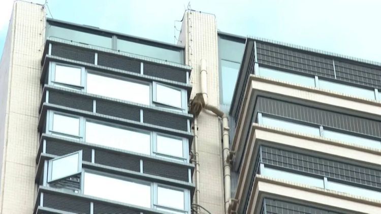 南宁一小区有猴子在高楼外爬上爬下，物业：不知道哪来的，还没抓着
