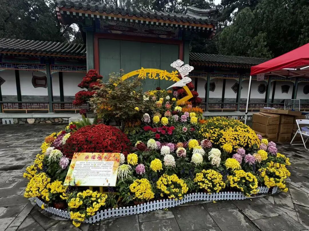 赏红顶流又红了!香山公园赏秋全攻略→ 赏红顶流又红了!香山公园赏秋全攻略→