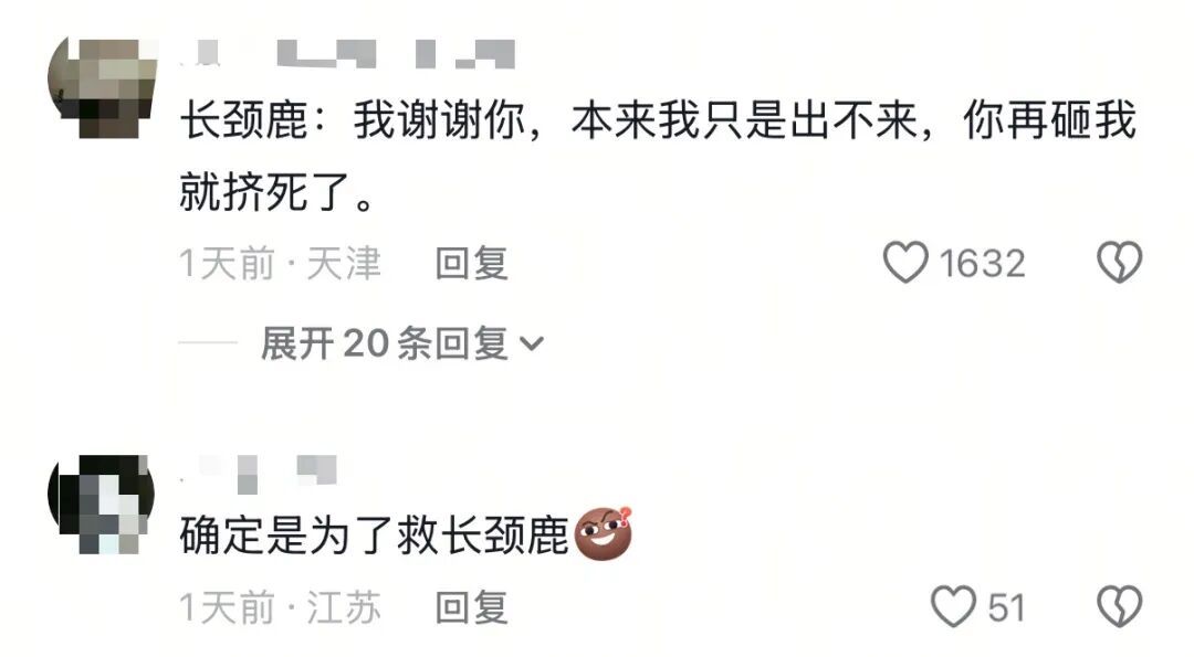 揪心！动物园长颈鹿头被折成90°！下一幕全网热议园方回应