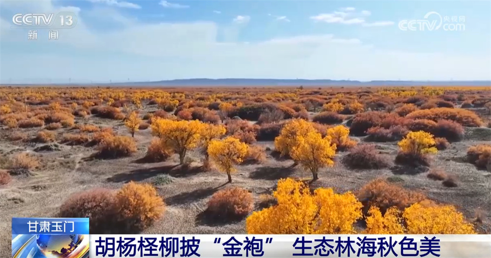 五彩斑斓意，层林尽染秋！锦绣山河美 赏秋正当时