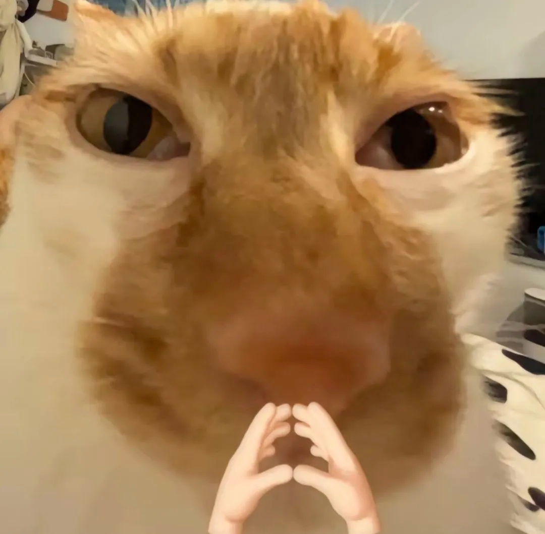 拐咯!一声巨响,她直呼“家都不想要了”!这种崩溃只有贵州人懂 拐咯!一声巨响,她直呼“家都不想要了”!这种崩溃只有贵州人懂