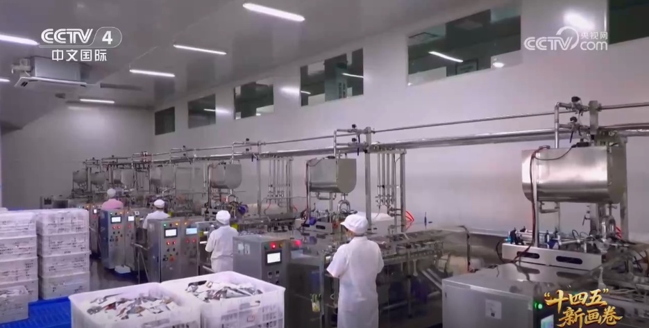 小猪“上楼”、刺梨闯“黔程” 现代化产业链推动乡村产业价值跃升 小猪“上楼”、刺梨闯“黔程” 现代化产业链推动乡村产业价值跃升