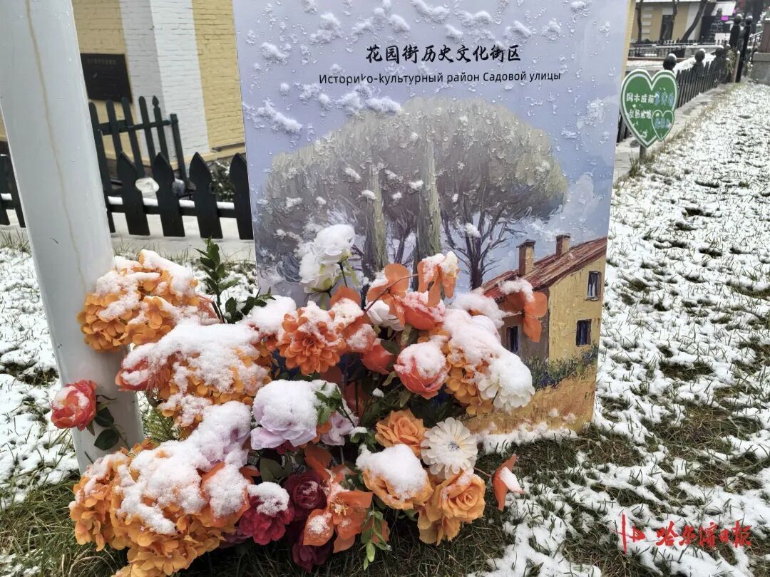 初雪邂逅百年老建筑， “黄房子”美成童话